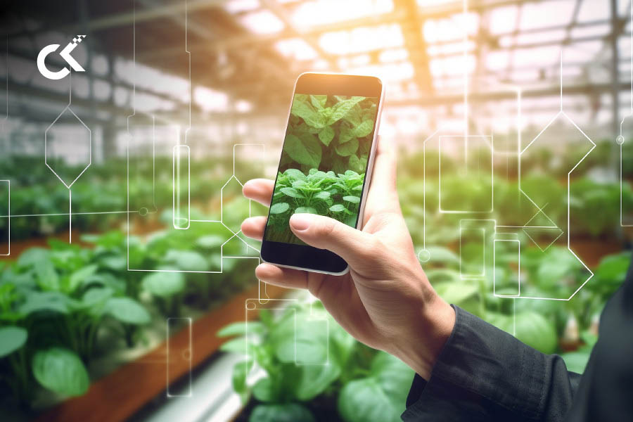 How A PowerBI Dashboard Transformed A US-Based Agriculture Cooperative